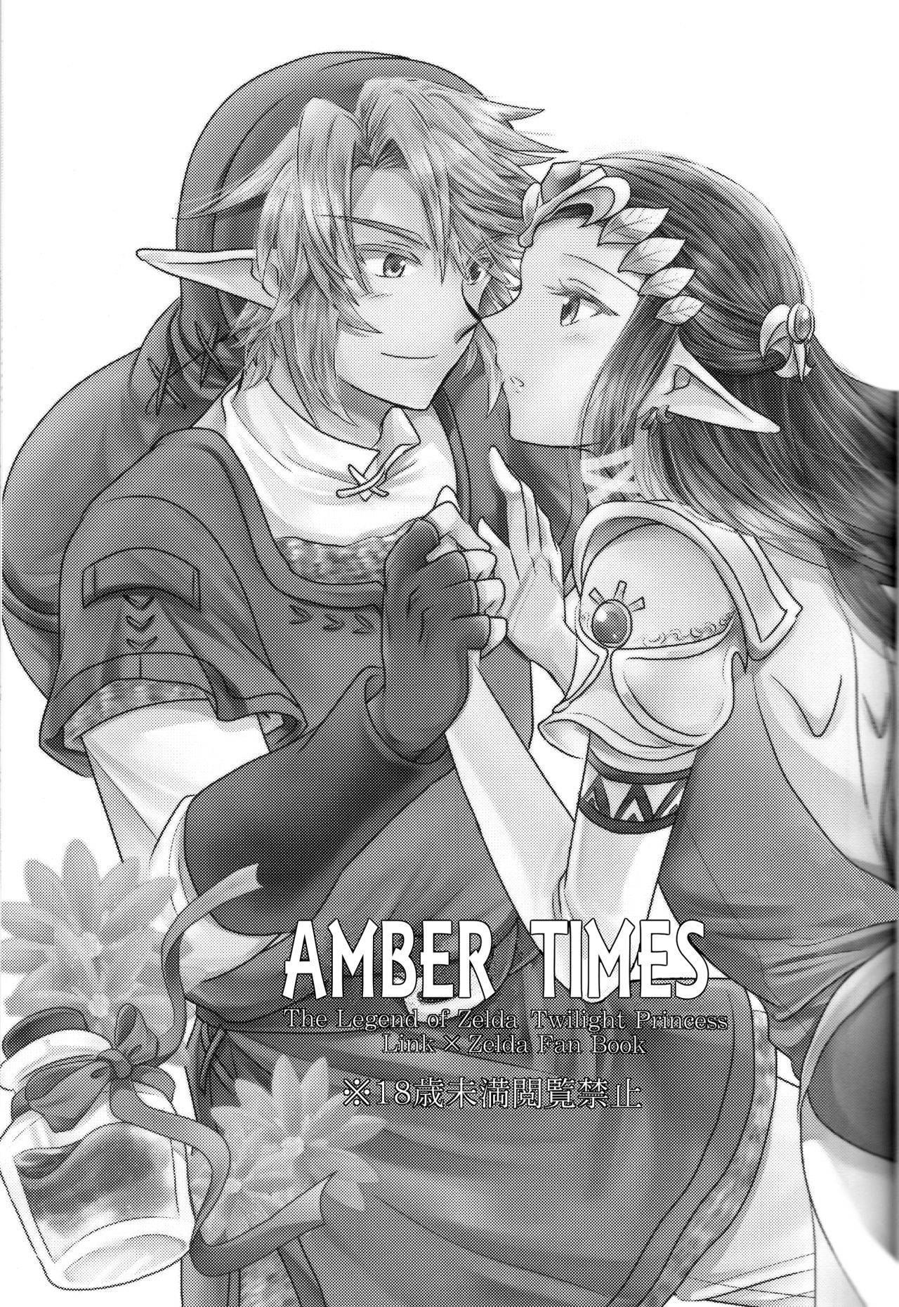 (SUPER25) [Sakurakan (Kaidou Mizuki)] Ameiro no Jikan | Amber Times (The Legend of Zelda) [English] [EHCOVE] (SUPER25) [さくら缶 (海棠深月)] 飴色の時間 (ゼルダの伝説) [英訳]