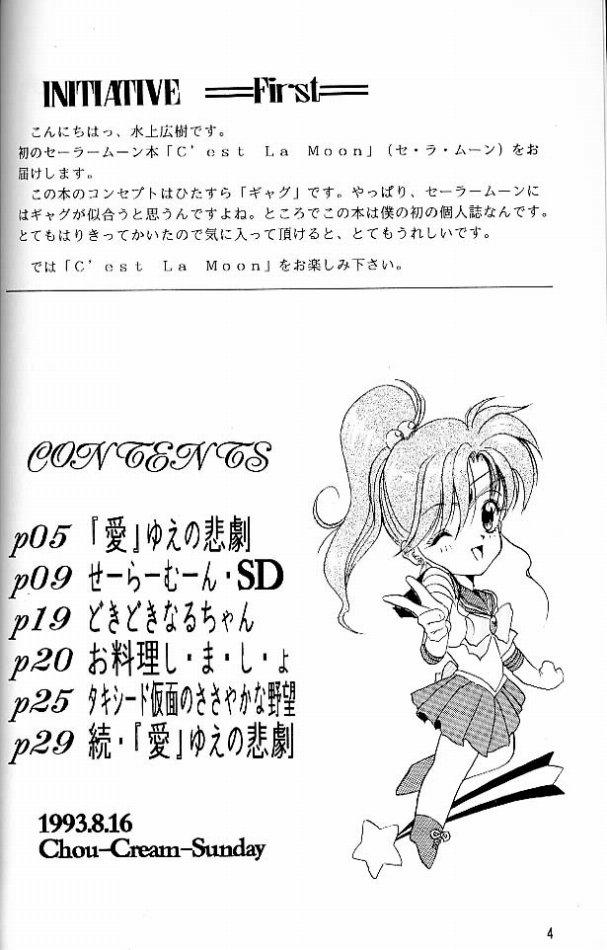 C&#039;est la Moon [Sailor Moon] 