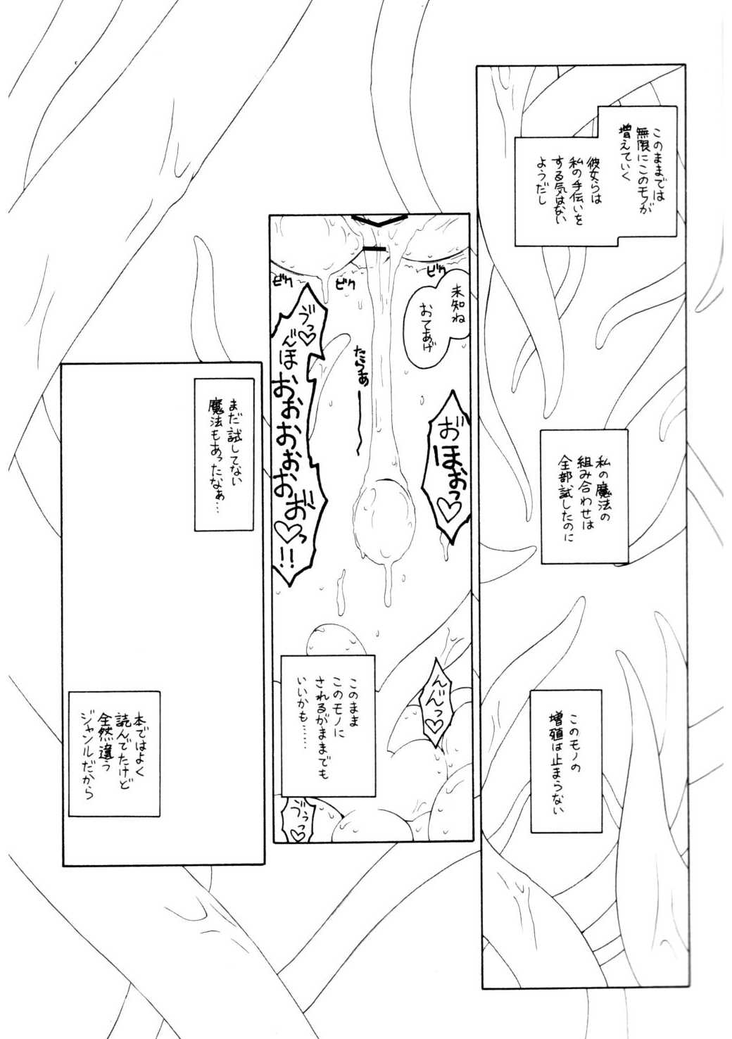 [ERA FEEL] pachuri no senrei 2 aru yakata no ichi nichi sono 2 (touhou)(C75) 