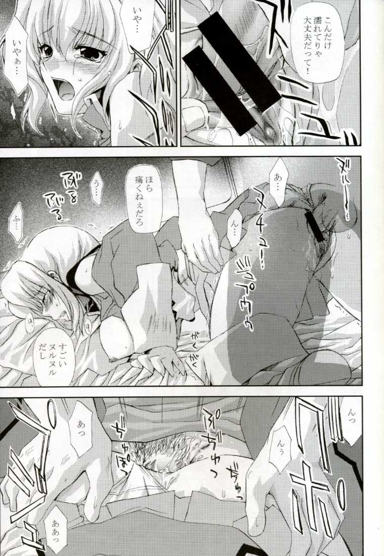 [FANTASY WIND] L-S (Kidou Senshi Gundam Seed Destiny) [FANTASY WIND] L-S (機動戦士ガンダムSEED DESTINY)